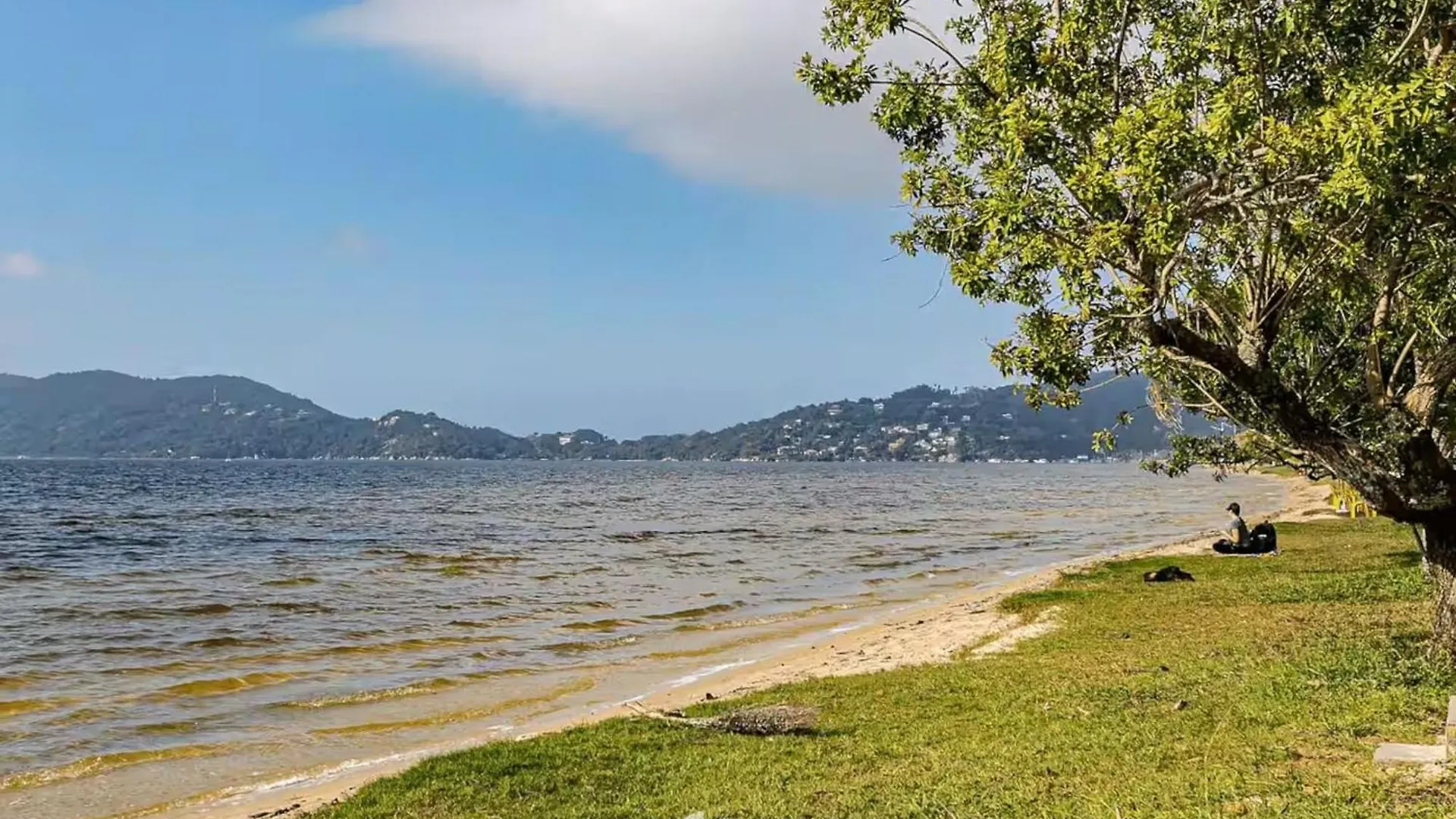 Studio Proximo A Lagoa Da Conceicao Bdr contacts